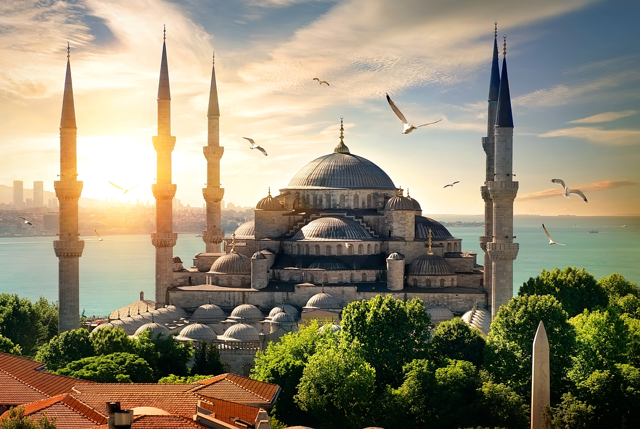 SIMPLY TURKEY