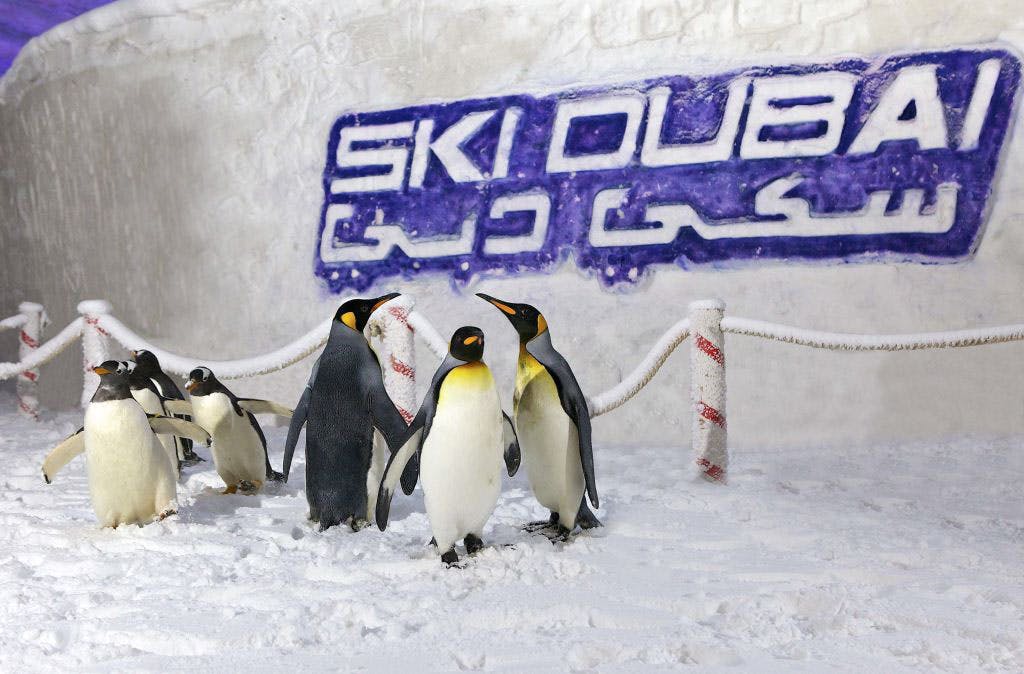 ENTRADA AL SKI DUBAI SNOW PARK