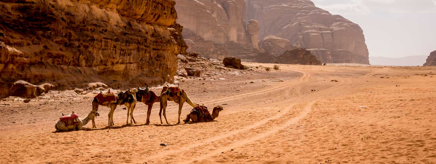 AQABA - WADI RUM