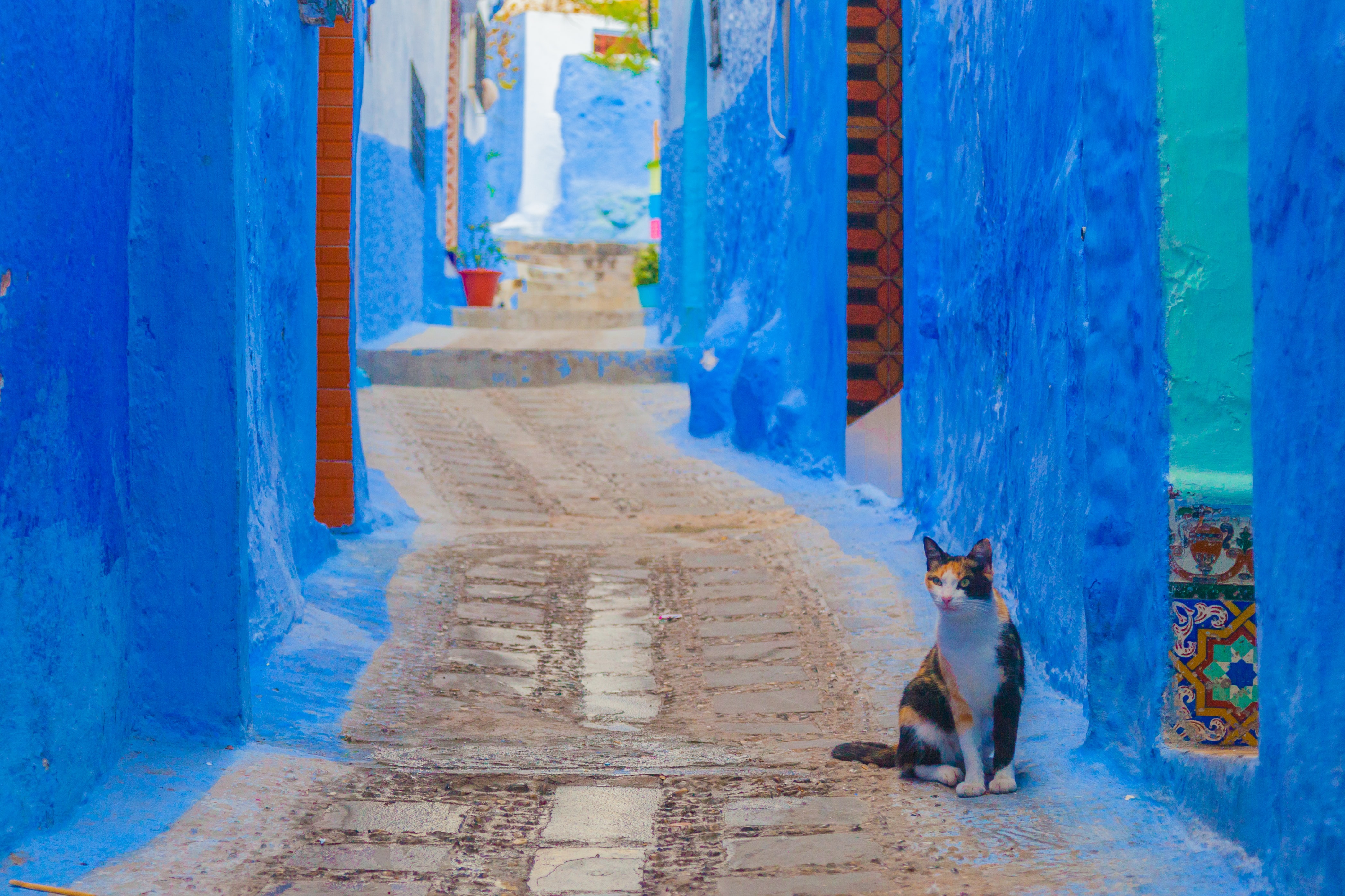MARRUECOS EXPRESS Y CHAOUEN