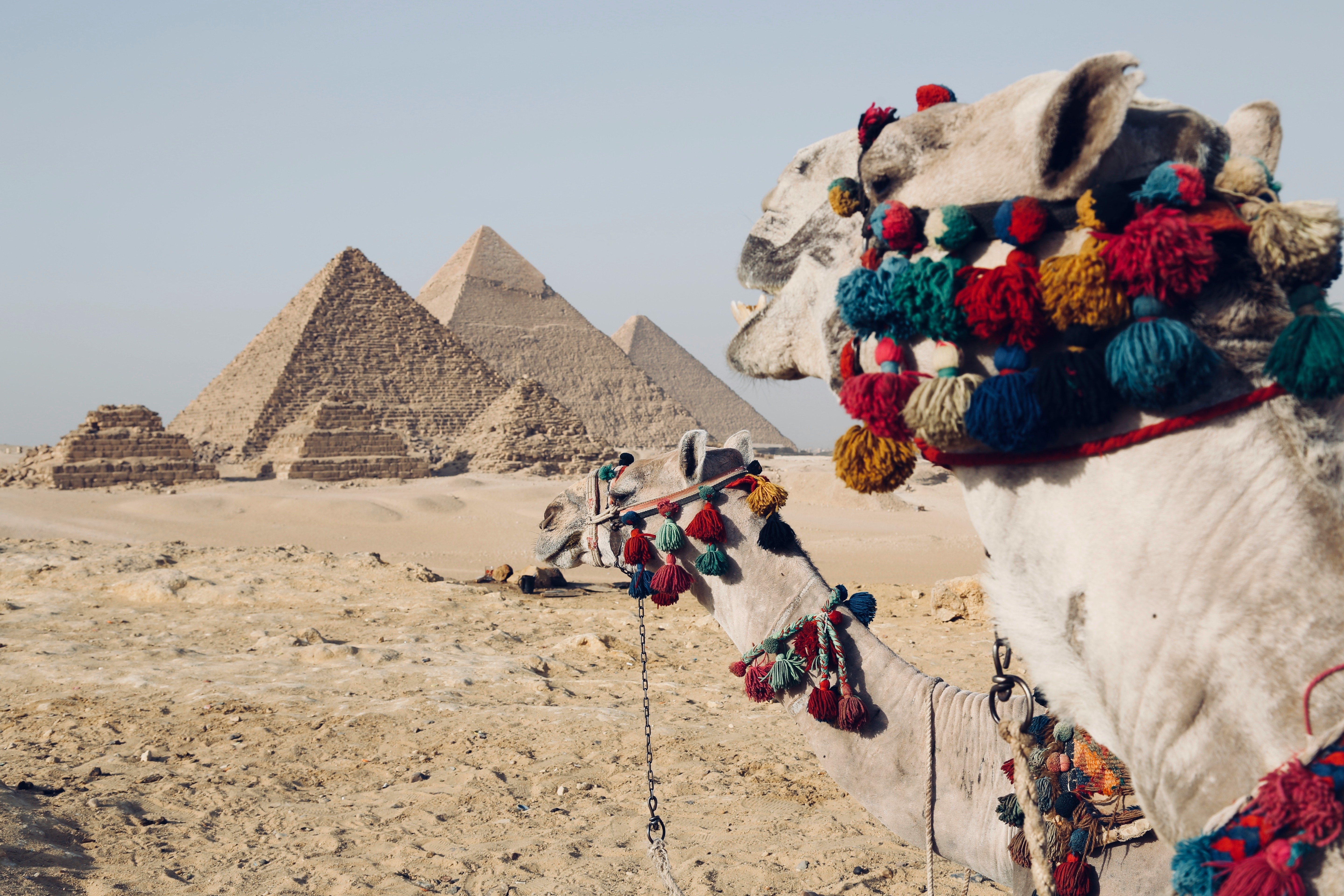 CAIROTA