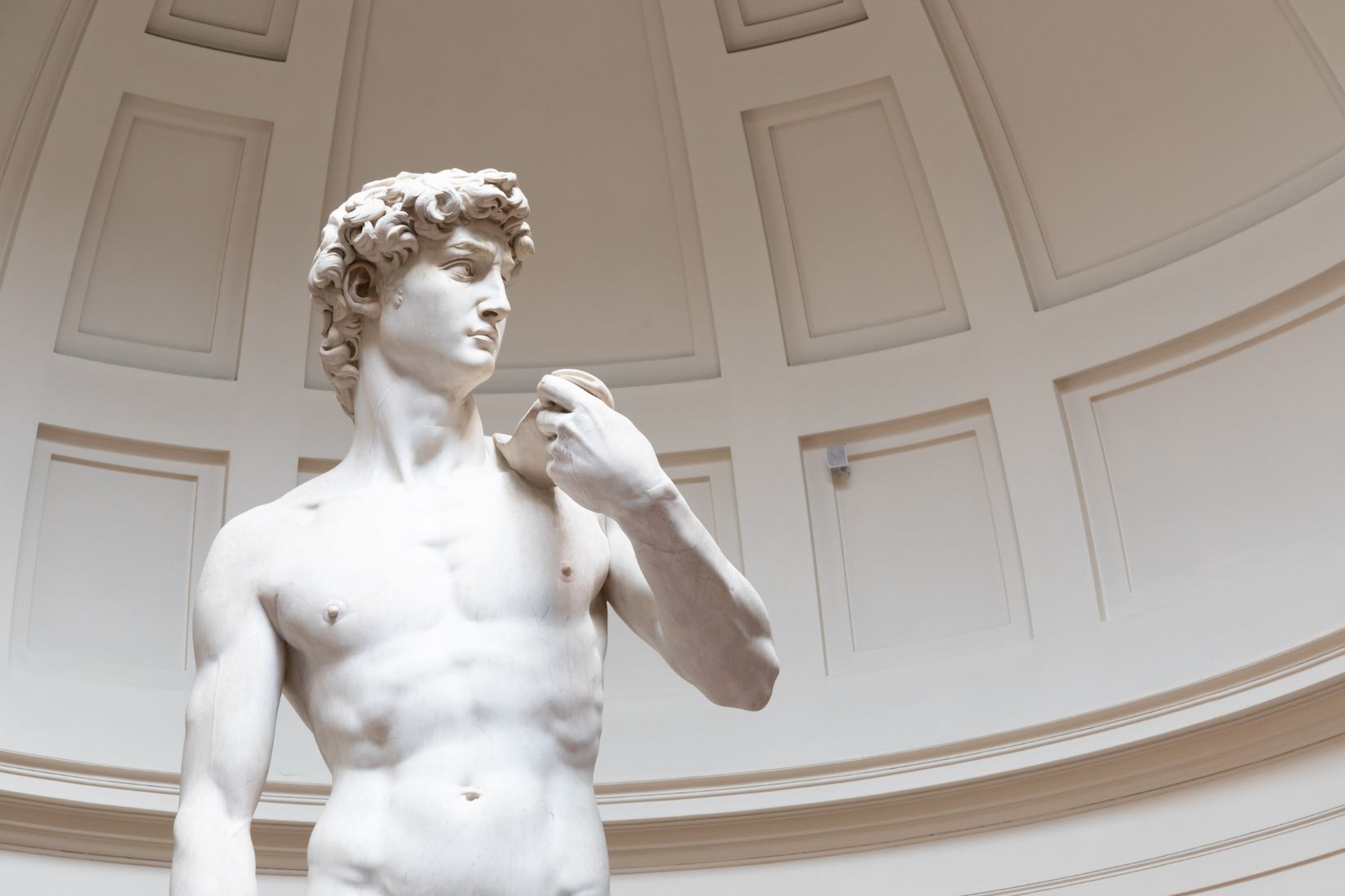 GUIDED TOUR TO THE ACCADEMIA GALLERY