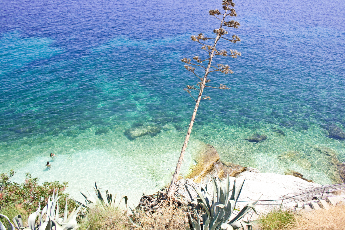 DISCOVERING AGIA EFIMIA