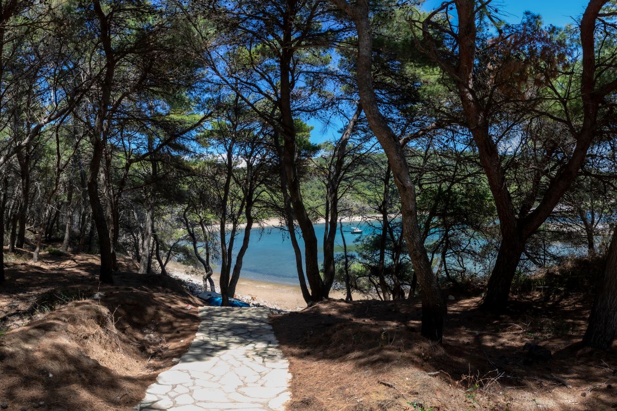 ILHA DE HVAR - PARQUE NACIONAL MLJET