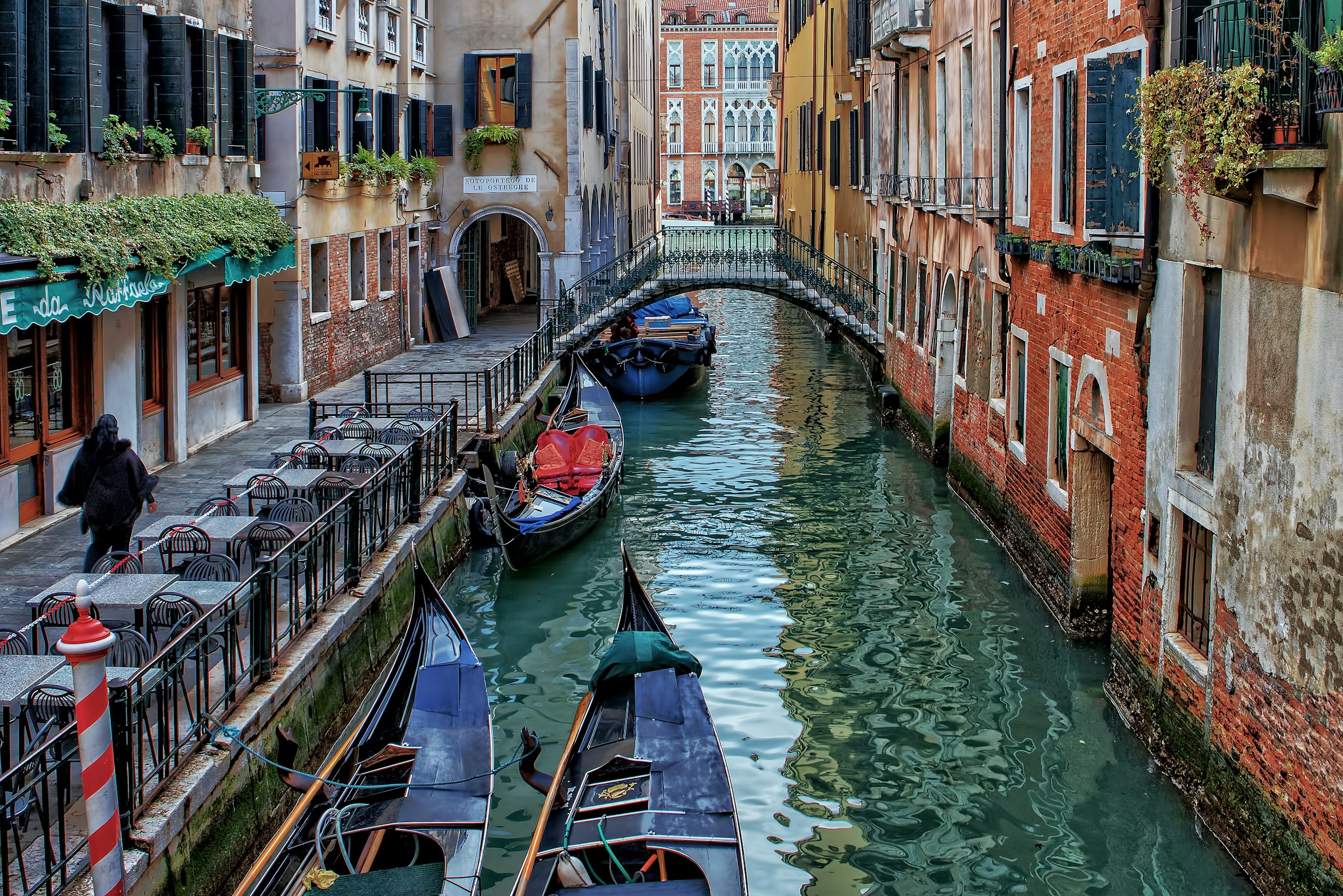 VENEZA DIA LIVRE