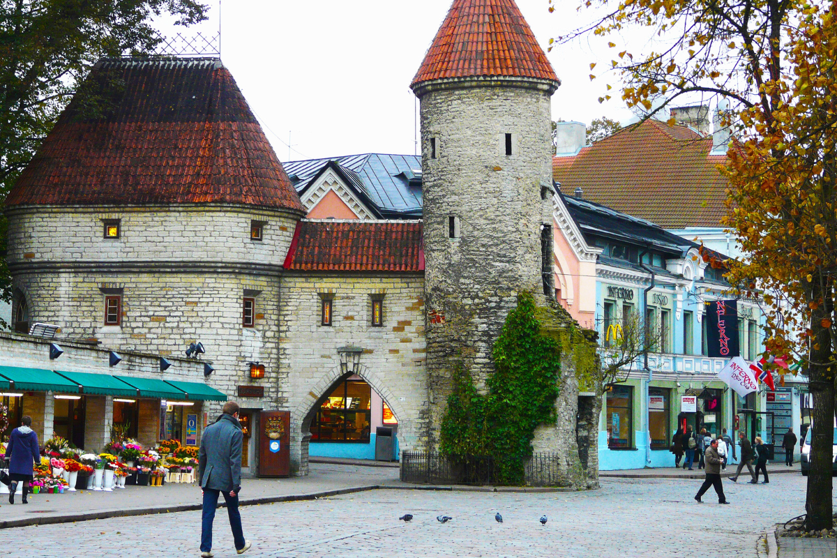 VISITA PANORÂMICA DE TALLIN