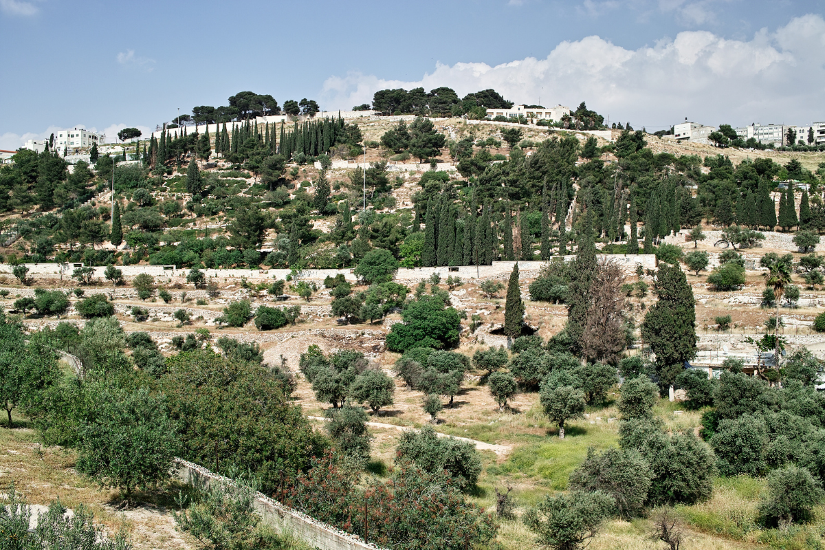 JERUSALEN: CIUDAD VIEJA - MONTE DE LOS OLIVOS - MONTE SION