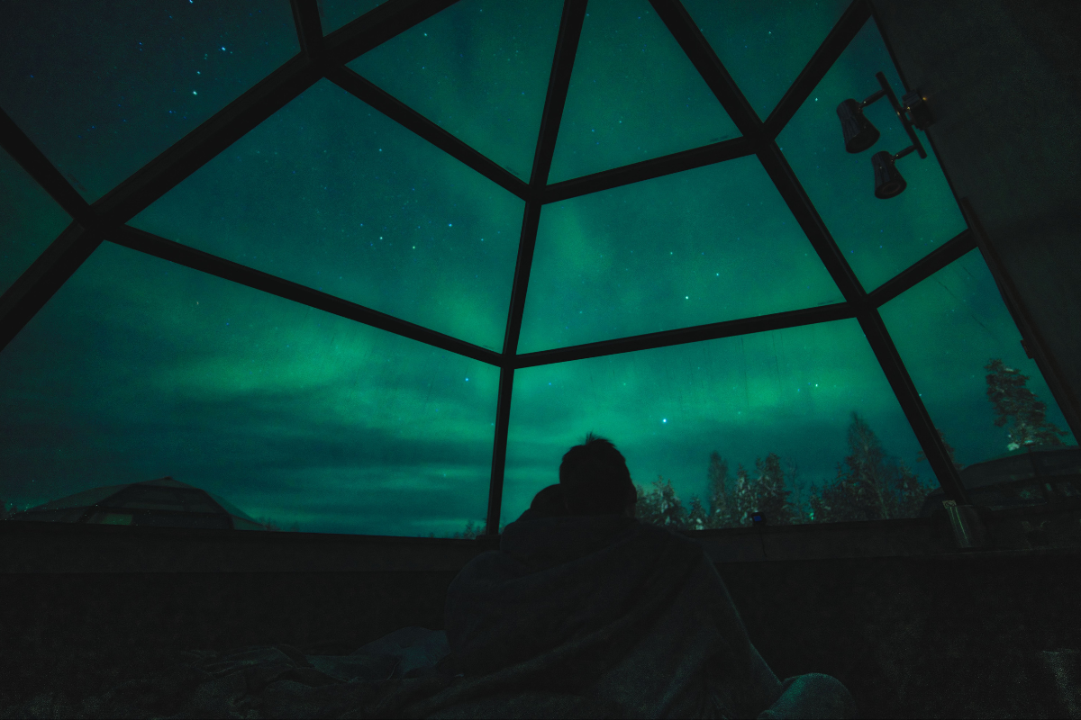 FREE DAY & NIGHT UNDER THE STARS
