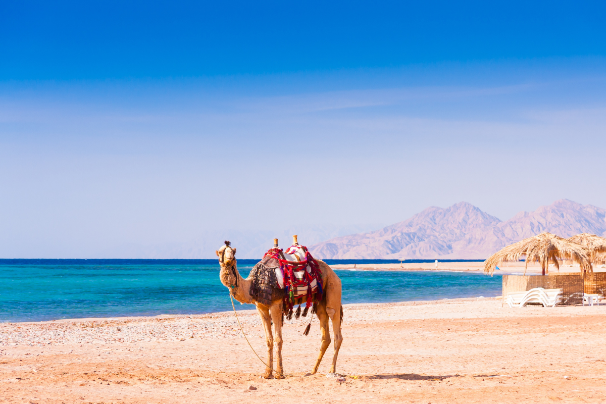EGIPTO FANTÁSTICO Y HURGADA