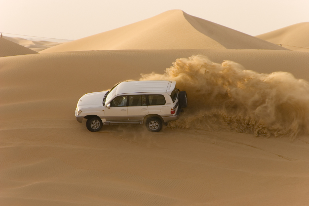 DIA LIBRE CON OPCION DEL SAFARI POR EL DESIERTO DE DUBÁI