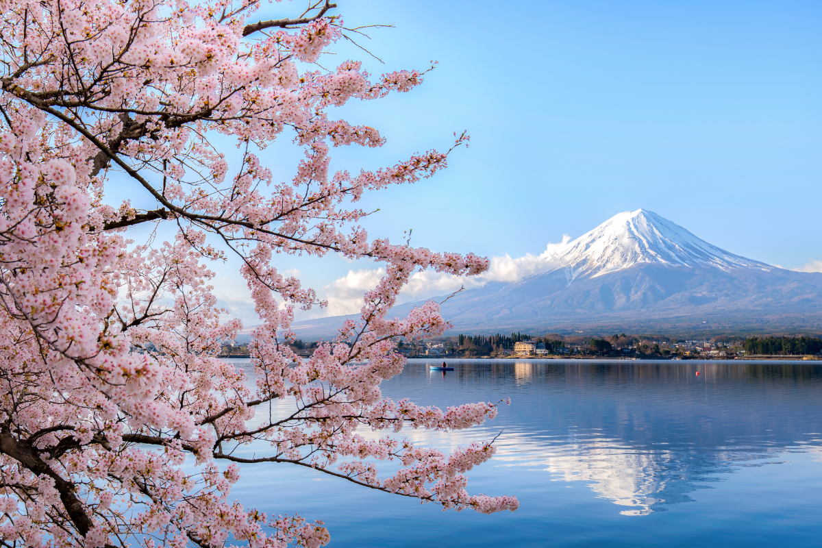 JAPAN CHARMS
