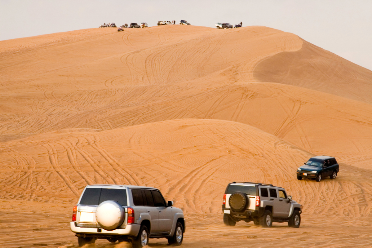 SAFARI EN EL DESIERTO DE DUBÁI