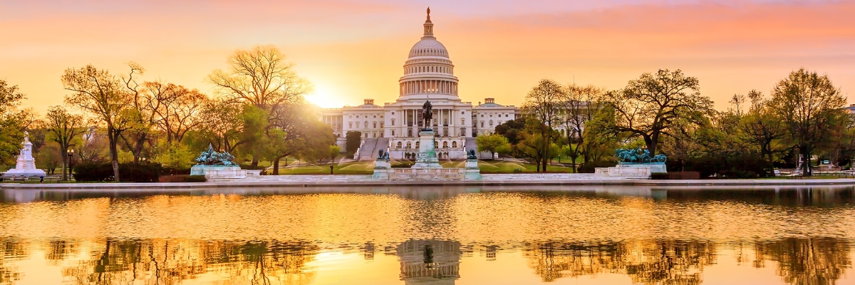 VISITA PANORÂMICA DE WASHINGTON, D.C.
