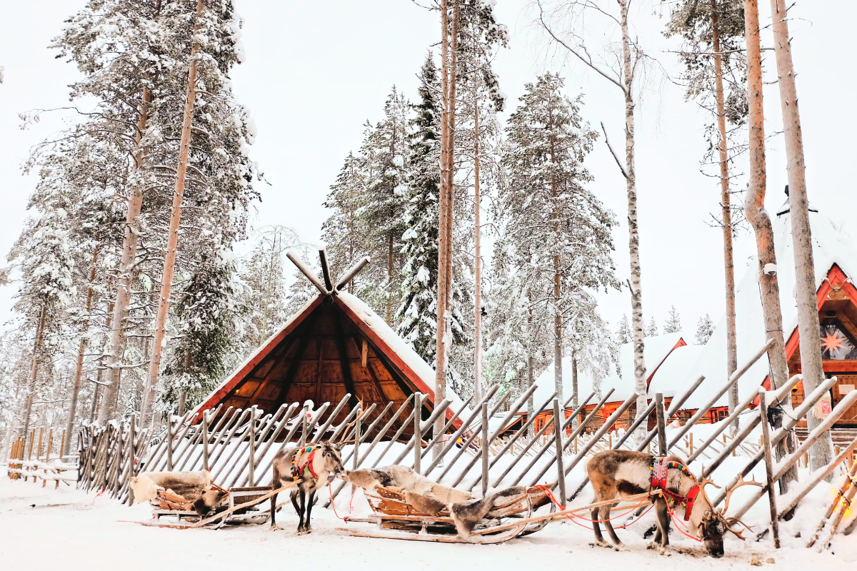 SANTA CLAUS VILLAGE - REINDEER FARM - NORTHERN LIGHTS HUNTING