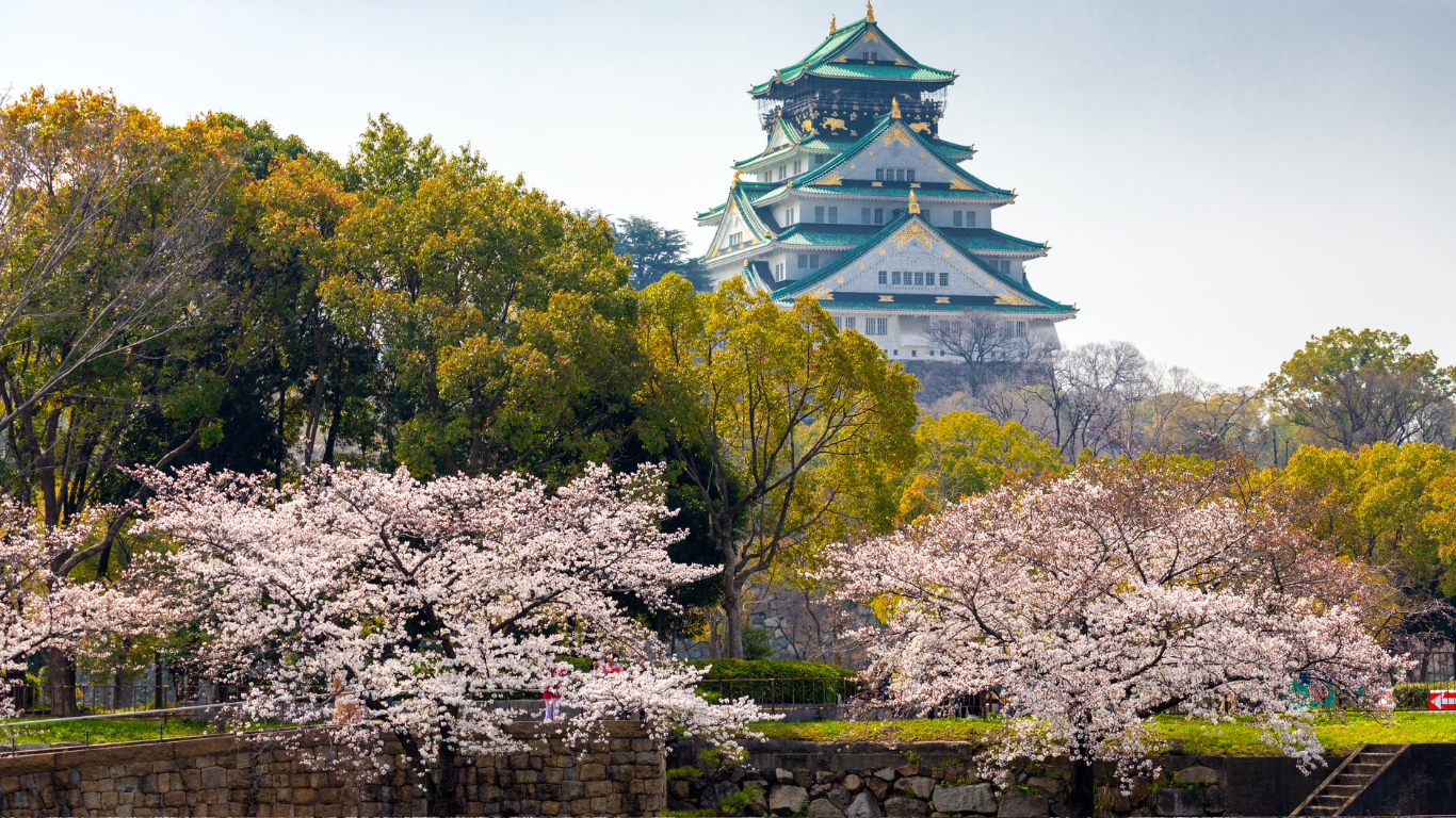 VISITA GUIADA DE OSAKA