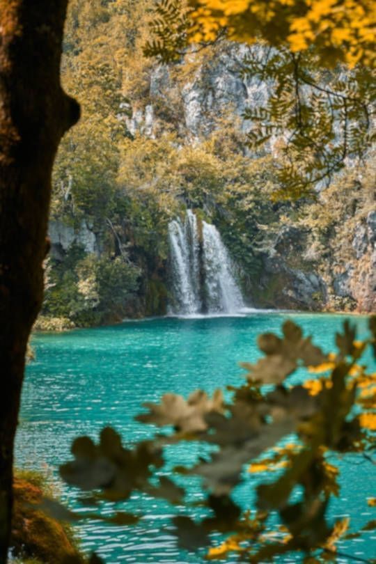 Lago, catarata y vegetación