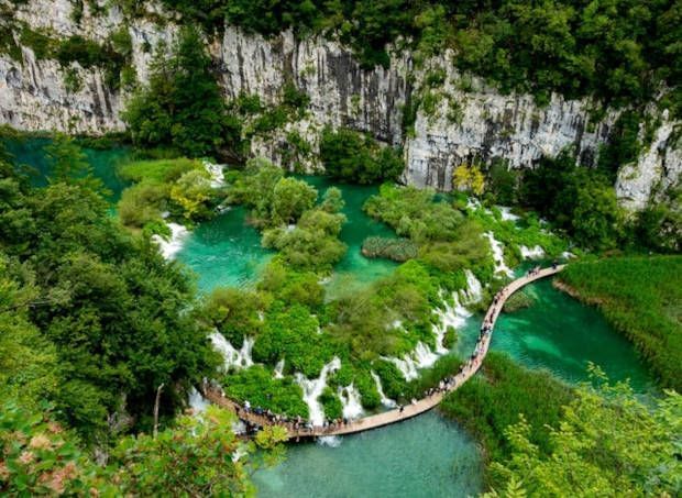 Lago, puente y vegetación