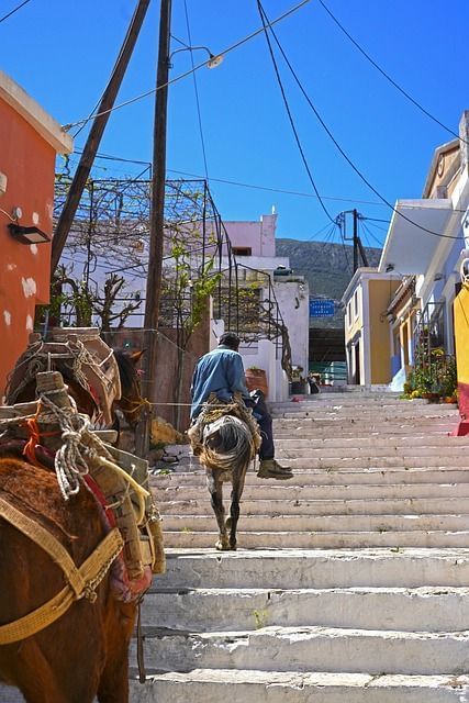 Foto de paseo tradicional en burro en Symi